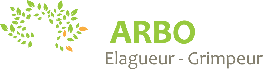 L'Arboriste Elagueur-Grimpeur en Guadeloupe, abattage, formation