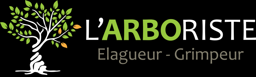 L'Arboriste Elagueur-Grimpeur en Guadeloupe, abattage, formation